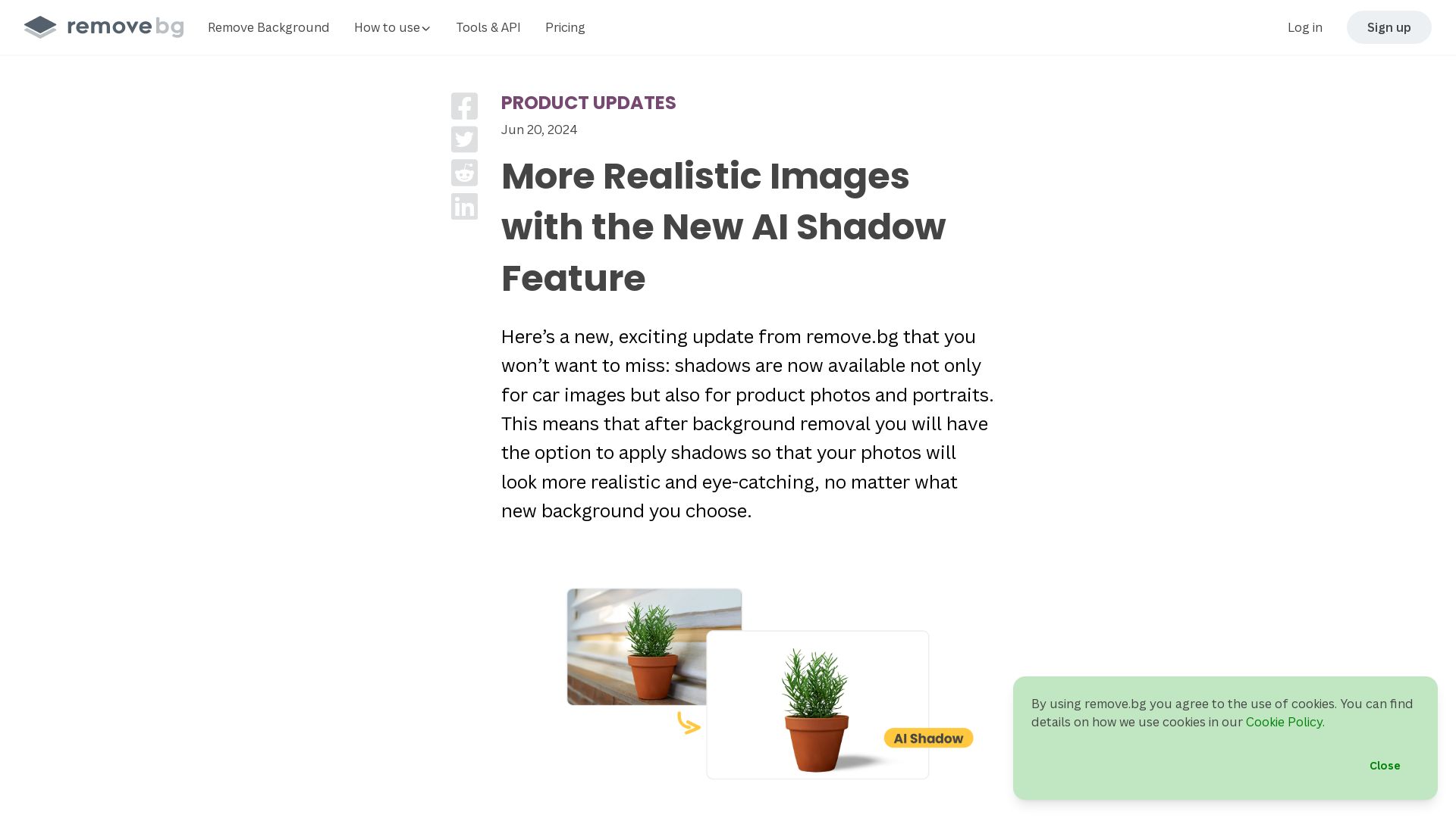 More Realistic Images with the New AI Shadow Feature – remove.bg Blog